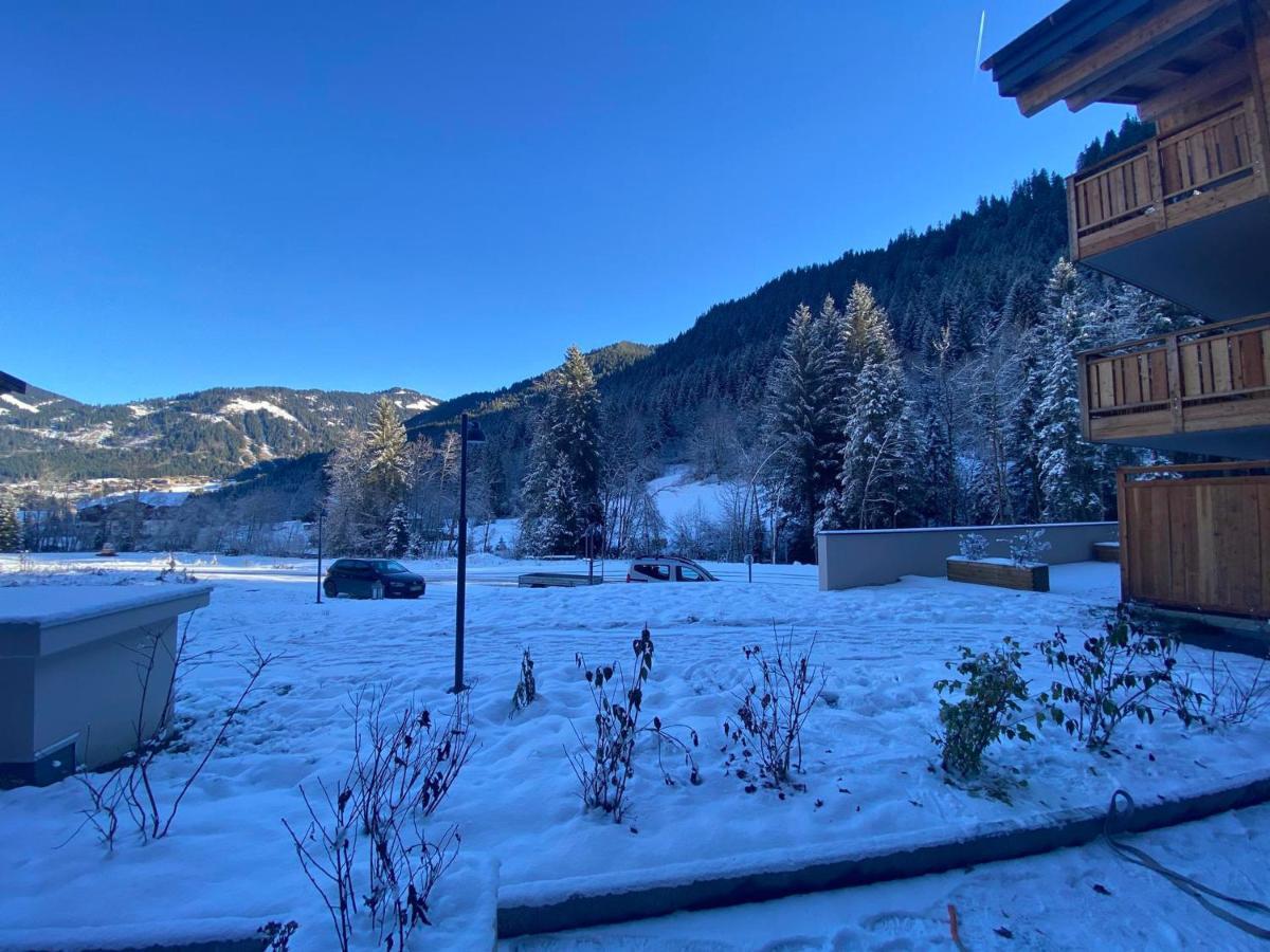 Lumineux Et Spacieux Appartement Contemporain Dans Une Residence Recente Et Paisible A Chatel - Fr-1-693-48 Esterno foto